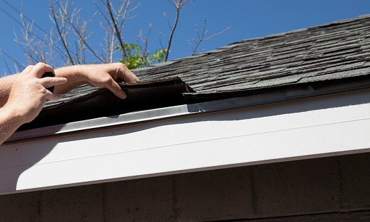 "Roofing Shingle Inspection"