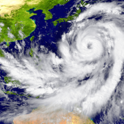 "Disaster Response Services for the Florida Area"